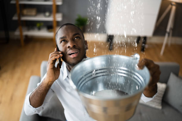 Best Flood damage cleanup  in Davidson, NC