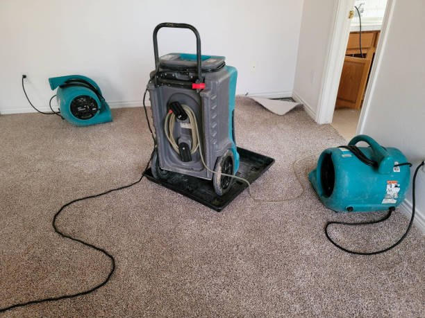 Best Water damage restoration services  in Davidson, NC
