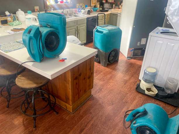 Best Water damage restoration near me  in Davidson, NC