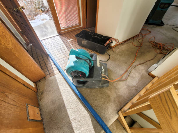 Best Sewage cleanup and water damage restoration  in Davidson, NC