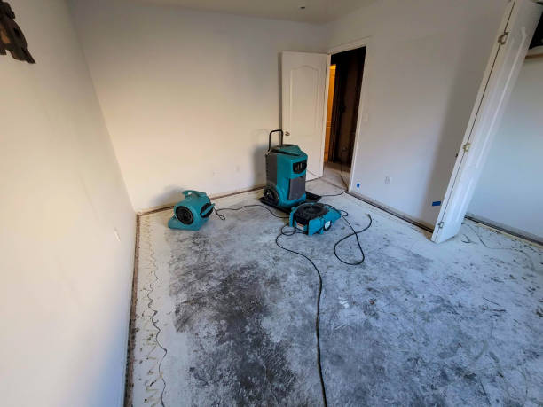  Davidson, NC Water damage restoration Pros