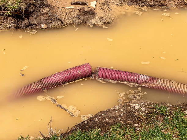 Best Carpet water damage restoration  in Davidson, NC