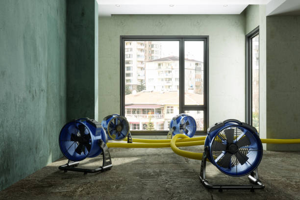 Best Water damage restoration experts  in Davidson, NC