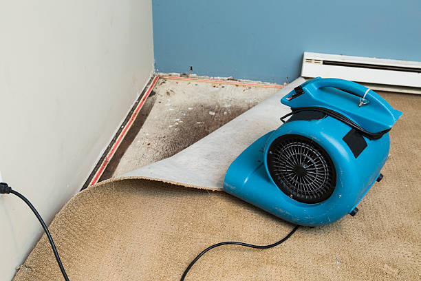 Best Sewage cleanup and water damage restoration  in Davidson, NC